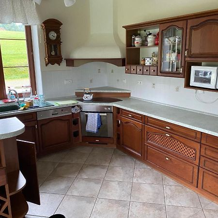 Apartmán Pod Drátníkem Svratka Esterno foto